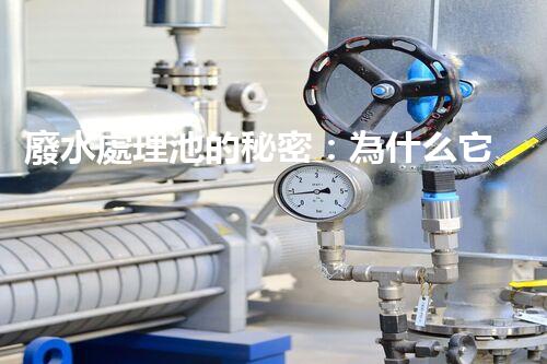 廢水處理池的秘密：為什么它能讓廢水變清？